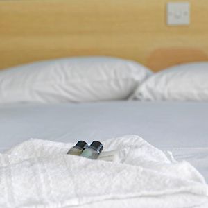 Standard Double Room No Children